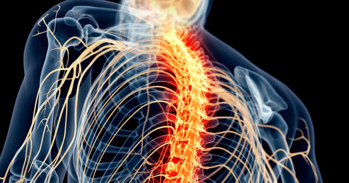 Cannabis for Spinal Cord Injury Pain: A Comprehensive Guide to Relief and Management
